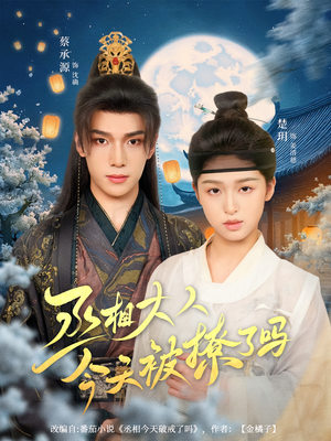 丞相大人今天被撩了吗(80集) 丞相大人今天被撩了吗(80集)短剧分享剧集