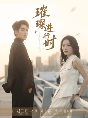 璀璨进行时（73集）剧情简介