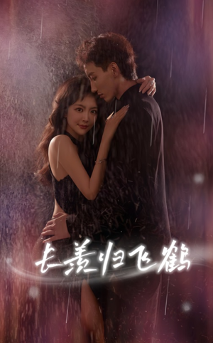 长羡归飞鹤 (70集)热门短剧大全