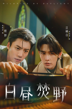白昼焚野(70集) 白昼焚野(70集)在哪个平台能看