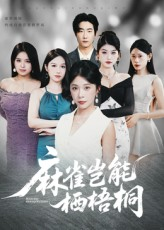 麻雀岂能栖梧桐(31集) 麻雀岂能栖梧桐(31集)全集在线看