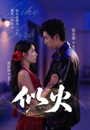 似火(80集) 似火(80集)全集我都看完了