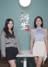 主播的重生（15集）热门短剧追到爽