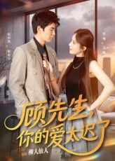 顾先生你的爱太迟了（60集）无需会员免费看