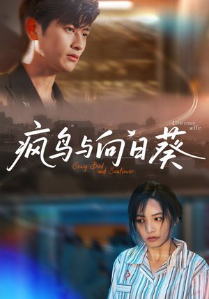 疯鸟与向日葵(40集) 疯鸟与向日葵(40集)好看的短剧推荐