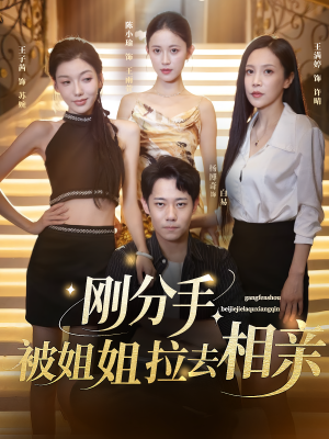 刚分手被姐姐拉去相亲(73集) 刚分手被姐姐拉去相亲(73集)全集免费观看