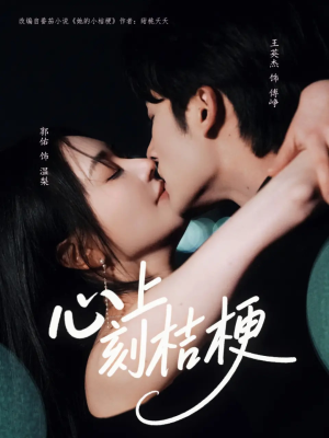 心上刻桔梗(90集) 心上刻桔梗(90集)免费短剧资源