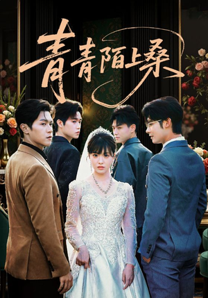 青青陌上桑（70集）剧好看短剧推荐