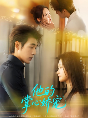 他的掌心娇宠（60集）热播短剧抢先看