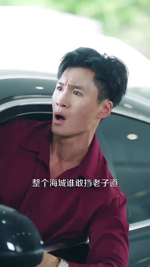 无敌贾二虎&贾二虎的妖孽人生 (80集) 无敌贾二虎&贾二虎的妖孽人生 (80集) 无需会员免费看