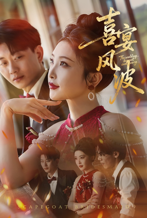 喜宴风波&替罪伴娘（30集）高分佳作免费看