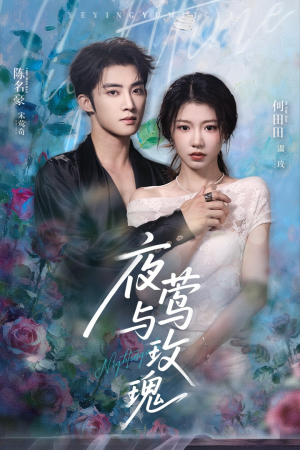 夜莺与玫瑰（66集）每日短剧追不停