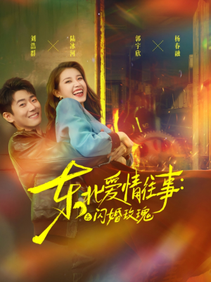 东北爱情往事闪婚玫瑰(89集) 东北爱情往事闪婚玫瑰(89集)男主角是谁