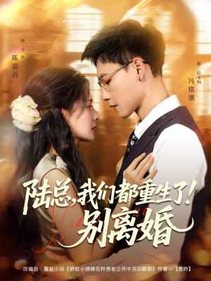 陆总我们都重生了别离婚(79集) 陆总我们都重生了别离婚(79集)短剧上热门