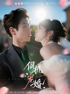 伺机宠婚（80集）好看吗