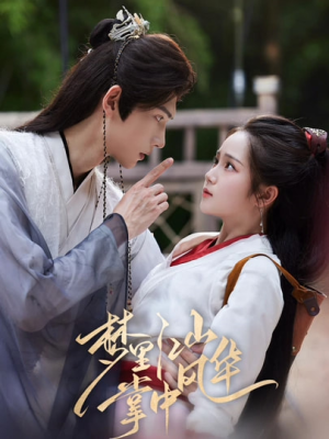 梦里江山掌中风华（80集）解说文案