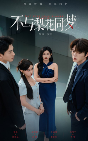 不与梨花同梦（50集）免费短剧资源