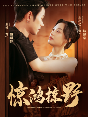 惊鸿掠野(62集) 惊鸿掠野(62集)在线观看全集