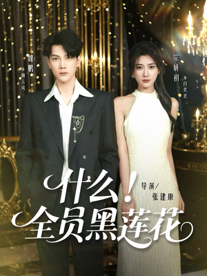什么全员黑莲花（60集）在线看完整版