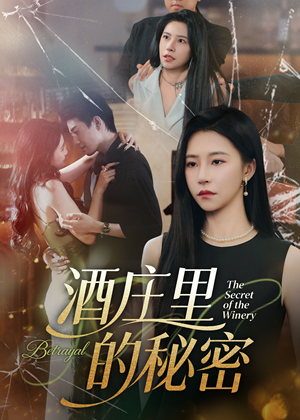 酒庄里的秘密（54集）追短剧看全集