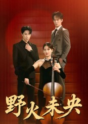 野火未央（40集）最新热门短剧