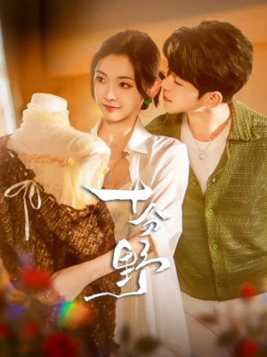 十分野(73集) 十分野(73集)热门短剧分享