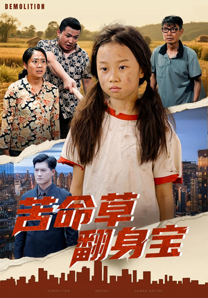 苦命草翻身宝（62集）完整版