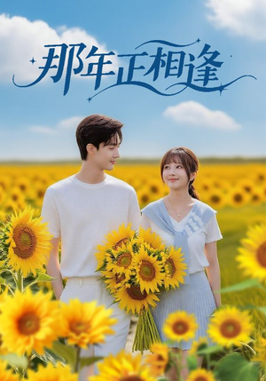 那年正相逢（60集）哪个网站可以看