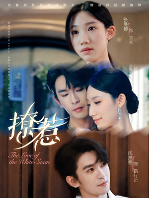 撩惹（80集）在哪里可以全集