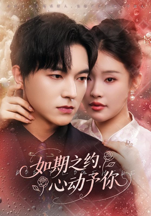 如期之约心动予你（82集）短剧抢先看