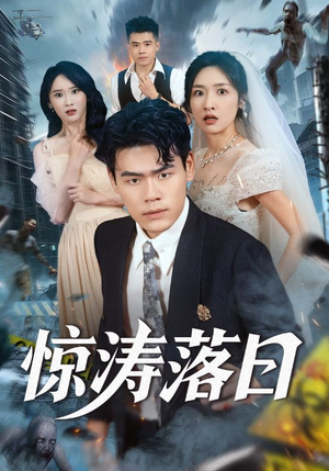 惊涛落日(60集) 惊涛落日(60集)短剧免费看