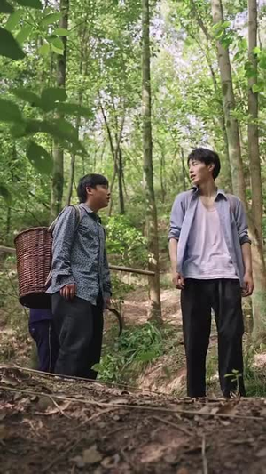 乡野医美 (80集) 番茄短剧看全集