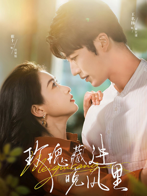 玫瑰藏进晚风里（68集）免费短剧大全