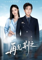 再见荆之(60集) 再见荆之(60集)免费看