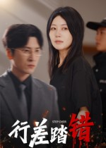 行差踏错(61集) 行差踏错(61集)80到100集