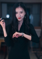 制裁者的游戏（25集）在哪个平台看好