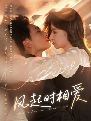 风起时相爱（80集）热门短剧推广