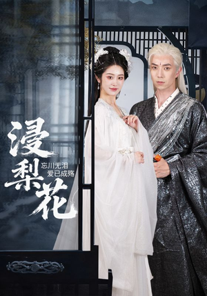 浸梨花(50集) 浸梨花(50集)演的怎么样