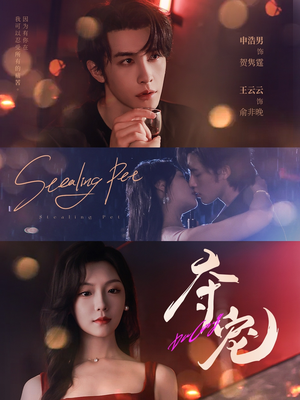 夺宠（88集）最火短剧热播