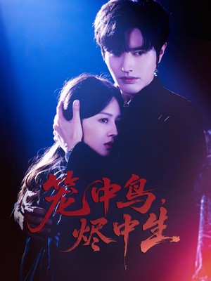 笼中鸟，烬中生（60集）不用花钱看全剧