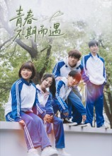 青春不期而遇（50集）热门短剧追到爽