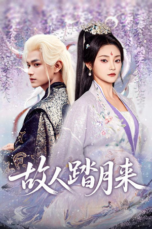故人踏月来(60集) 故人踏月来(60集)热播短剧追不停