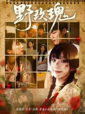 野玫瑰（82集）全集