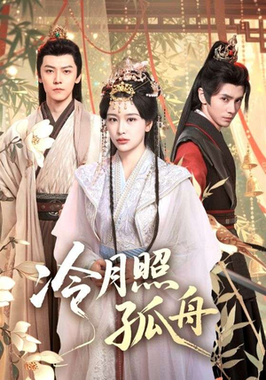 冷月照孤舟（77集）评价怎么样