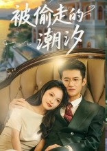 被偷走的潮汐（60集）热播短剧免费看