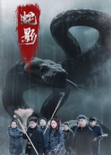 蛇影（25集）在哪看