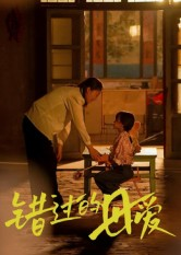 错过的母爱（32集）常回家看看短剧