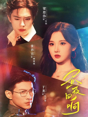 昼夜回响(76集) 昼夜回响(76集)大结局完美收官