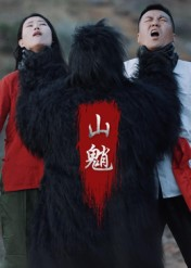 山魈(24集) 山魈(24集)一共多少集