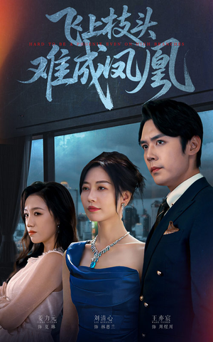 飞上枝头难成凤凰(47集) 飞上枝头难成凤凰(47集)一共多少集